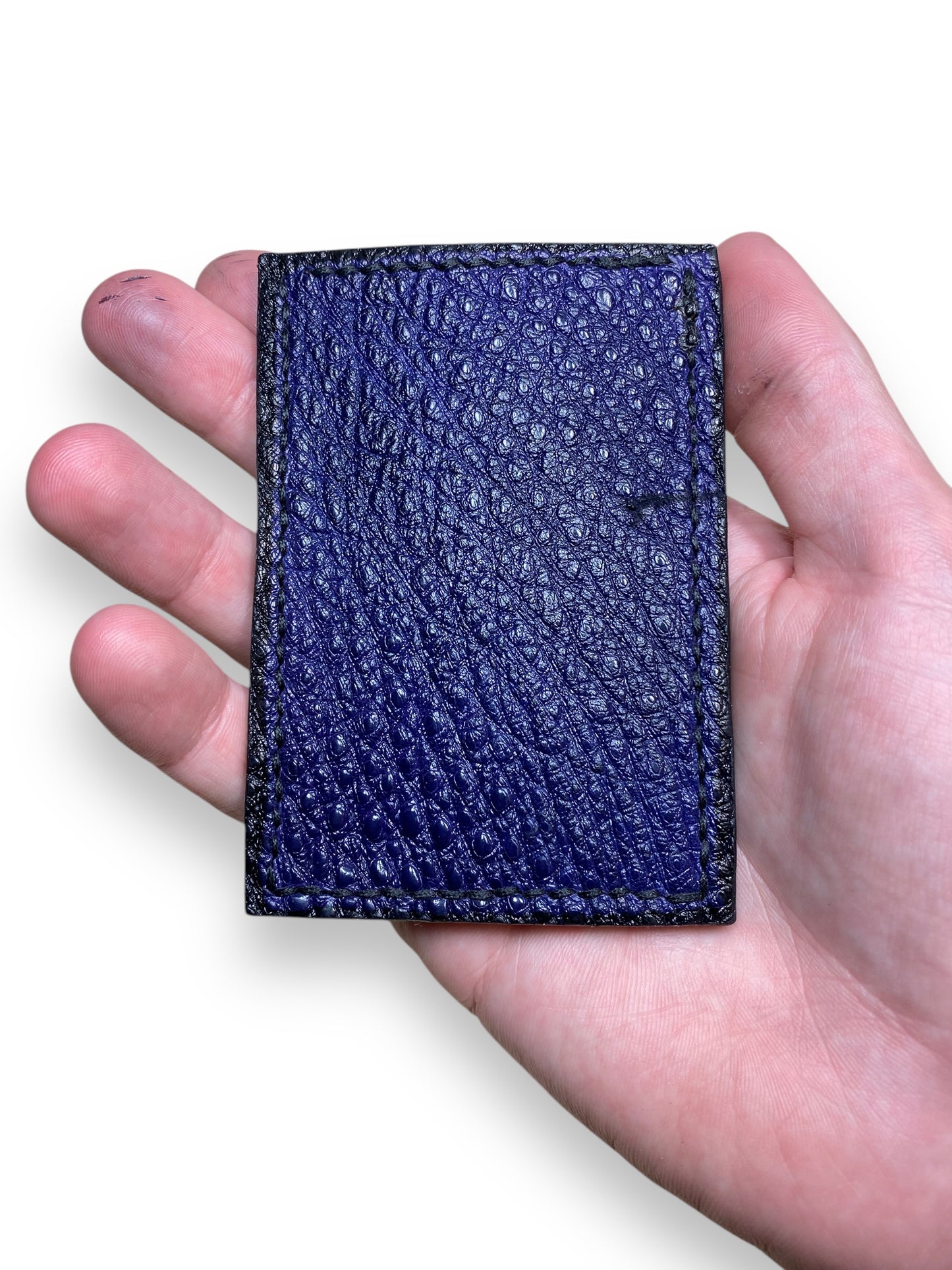 Snapping Turtle Cardsleeve